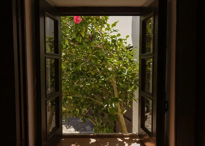 Casa Rustica Serra do Bouro